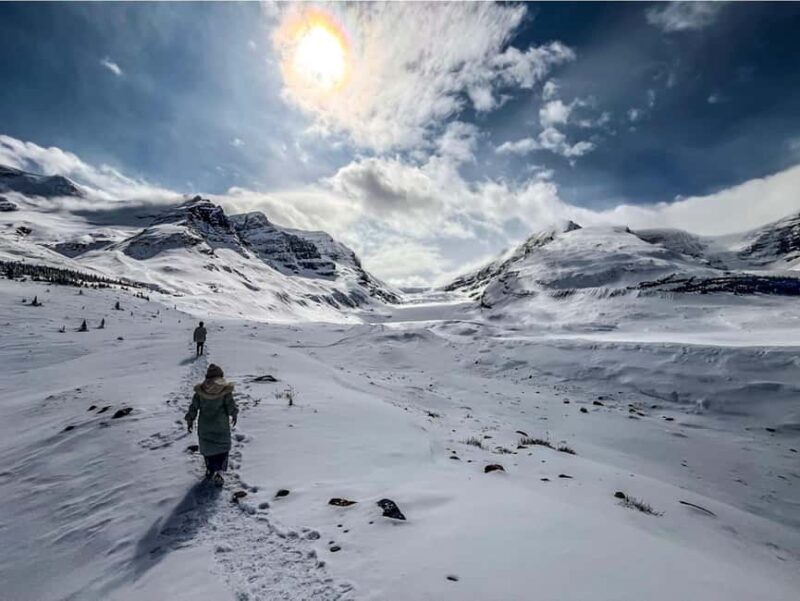 Athabasca Falls/Abraham,Sunwapta Falls, Icefield, Peyto Lake - Authentic Encounters and Hidden Gems