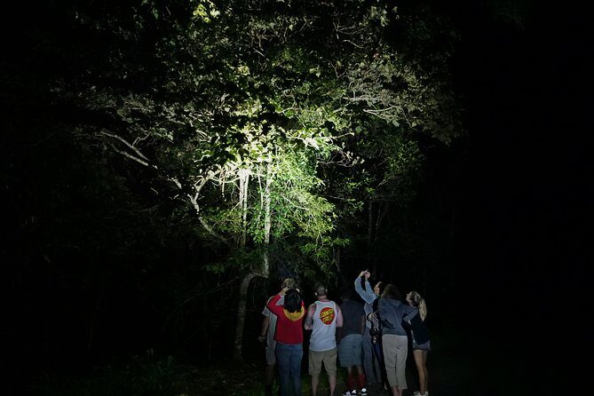 Atherton Tablelands Rain Forest by Night from Cairns - Frequently Asked Questions