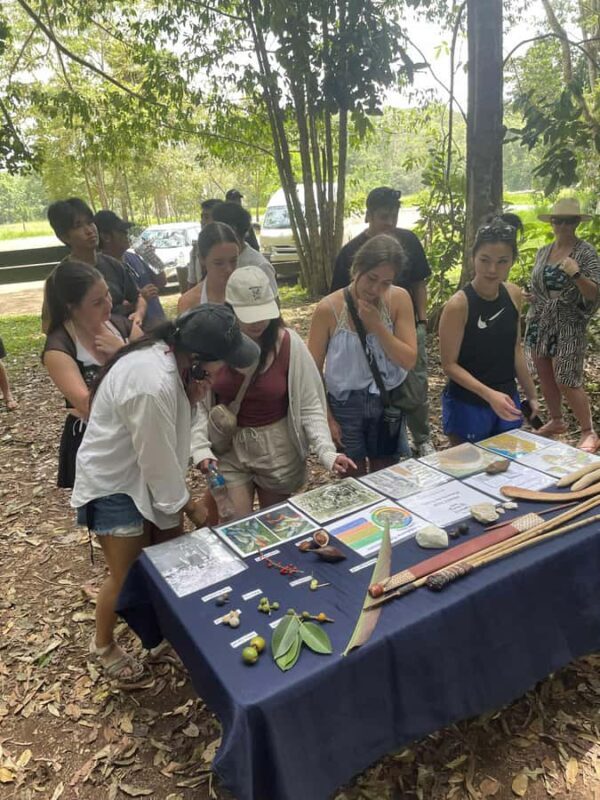 Atherton: Yidinji Explorer Tour with Fig Tree & Lake Barrine - The Value of the Price and Duration