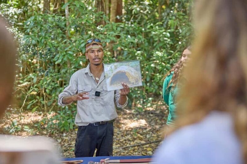 Atherton: Yidinji Explorer Tour with Fig Tree & Lake Barrine - Who Should Consider This Tour?
