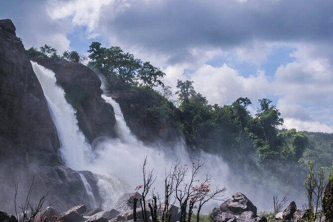 Athirapally Waterfalls from Cochin - Authentic Experiences from Travelers