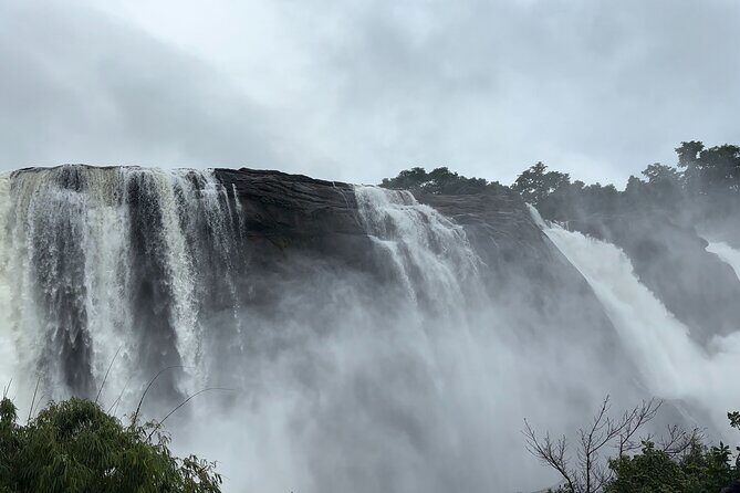 Athirappilly Waterfalls Day Trip from Kochi with Transfers - Who Will Love This Tour?