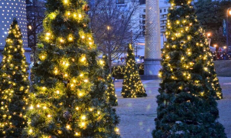 Atlanta: Christmas Private Walking Tour - FAQs