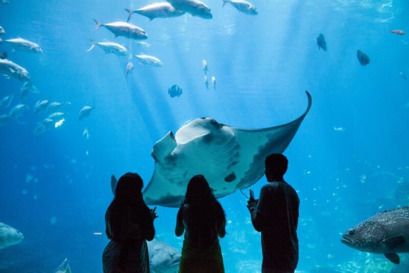Atlanta CityPASS®: Save up to 49% at 5 Top Attractions - Analyzing the Value