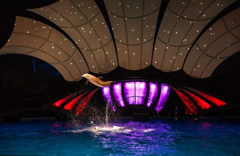 Atlanta: Georgia Aquarium Skip-the-Box-Office Entry Ticket - Practical Tips for Your Visit