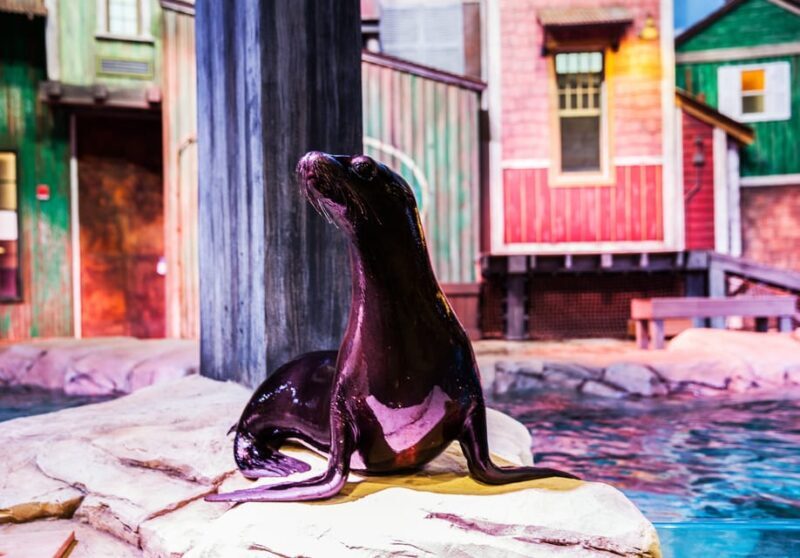 Atlanta: Georgia Aquarium Skip-the-Box-Office Entry Ticket - Final Thoughts: Is It Worth It?