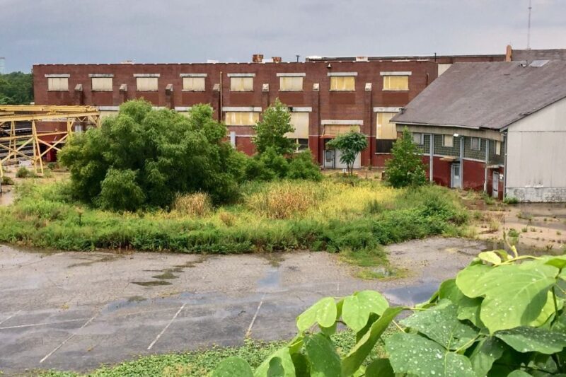 Atlanta: 'The Walking Dead' VIP Private Tour - Practical Details and Considerations