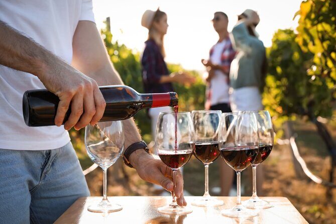 Atlanta Vineyards and Wines Full-Day Private Tour - Final Thoughts