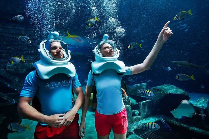 Atlantis Lost-Chamber Aquarium Dubai - What to Expect at Atlantis Lost-Chamber Aquarium Dubai