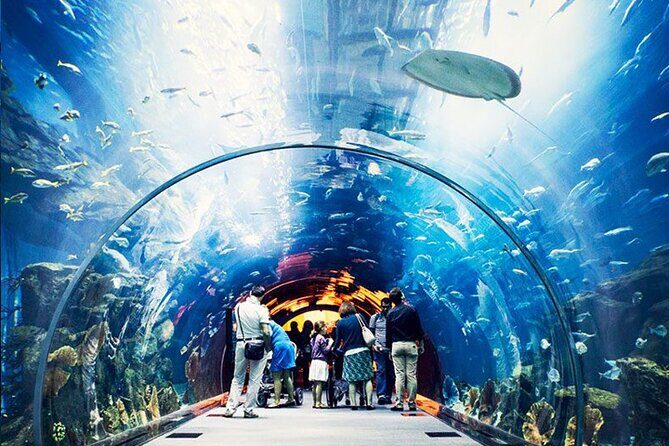 Atlantis Lost-Chamber Aquarium Dubai - Real Visitor Feedback
