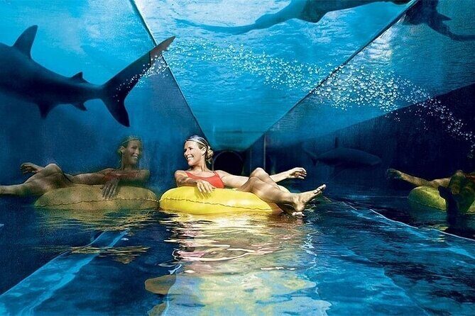 Atlantis Lost-Chamber Aquarium Dubai - Who Should Consider Visiting?
