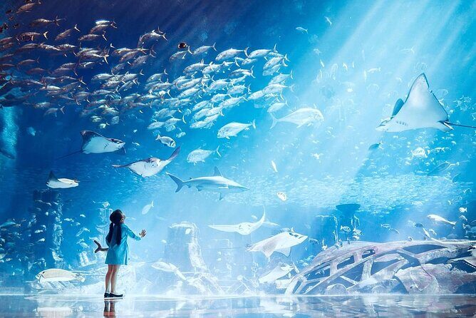 Atlantis Lost-Chamber Aquarium Dubai - A Practical Overview of the Atlantis Lost-Chamber Aquarium Experience