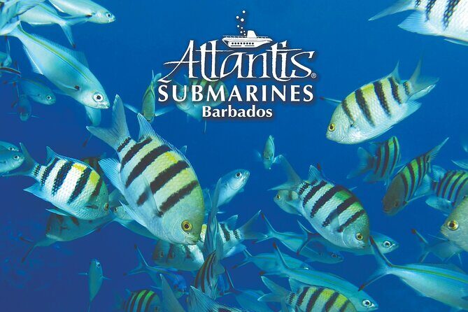 Atlantis Submarine Day Tour - FAQ