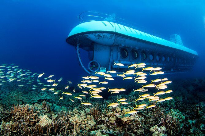 Atlantis Submarine from Kona Beach - The Itinerary and What You Can Expect