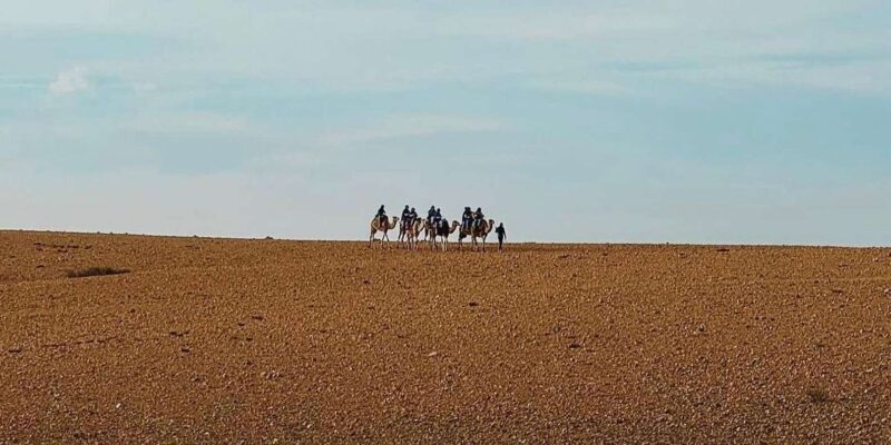 Atlas Mountain & Agafay:Quad Biking and Camel Ride Adventure - Key Points