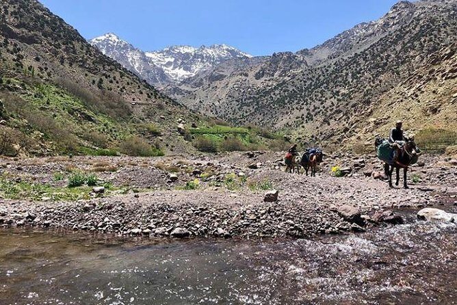 Atlas Mountain& berber village Day trip from Marrakech - FAQ