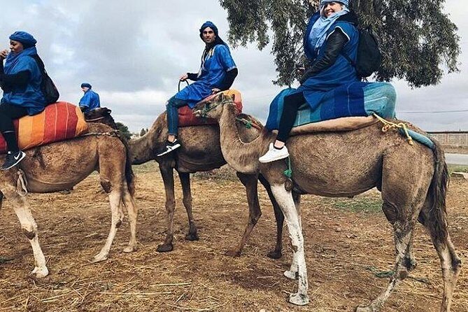 Atlas Mountain & Berber Villages and Waterfalls Day Trip from Marrakech - Who Might Want to Consider Other Options?