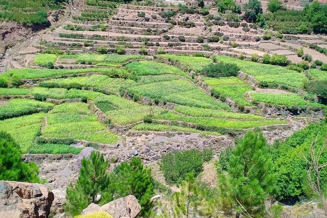 Atlas Mountain & Berber Villages and Waterfalls Day Trip from Marrakech - The Sum Up: The Value of the Atlas Mountain & Berber Villages Tour