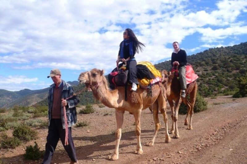 Atlas Mountain & Three Valleys Waterfalls & Desert Day Trip - Key Points
