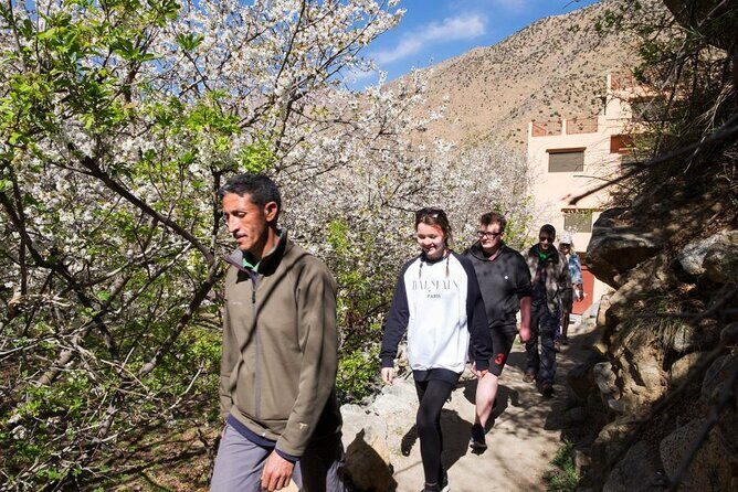 Atlas Mountains & 3 Valleys Waterfalls and Camel Ride Marrakech - What Makes This Tour Stand Out?