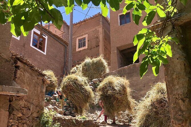 Atlas mountains 3valleys waterfall & camel ride - Who Will Love This Tour?