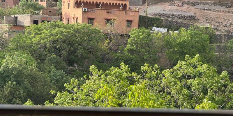 Atlas Mountains & Agafay Desert Dinner: A Majestic Journey - Key Points