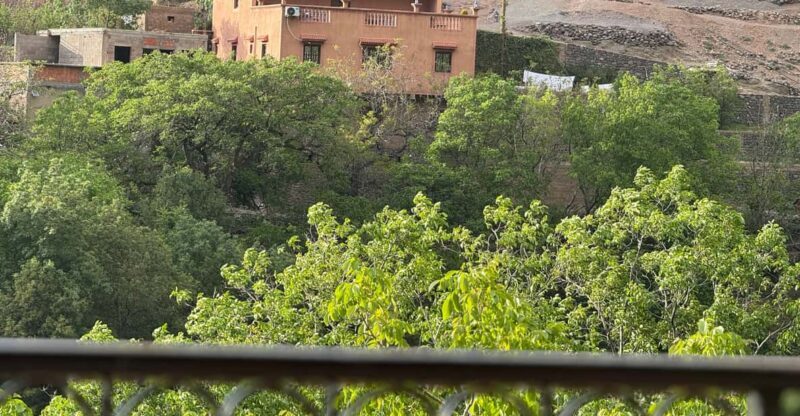 Atlas Mountains & Agafay Desert Dinner: A Majestic Journey - Starting Point: From Marrakech to the Mountains and Desert