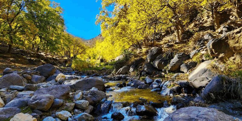 Atlas Mountains & Agafay Desert Dinner: A Majestic Journey - Practical Considerations