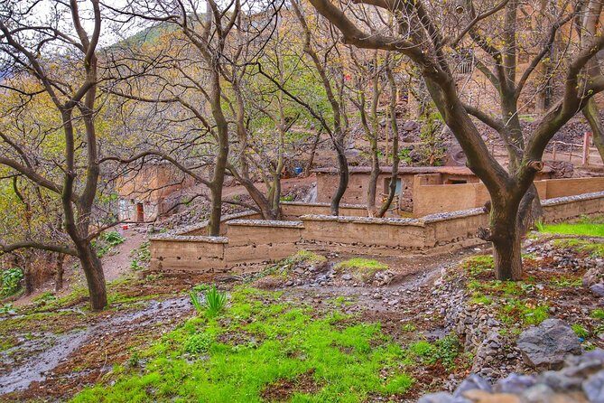 Atlas Mountains and 3 Valleys Guided Day Tour from Marrakech - The Practicalities: What You Need to Know