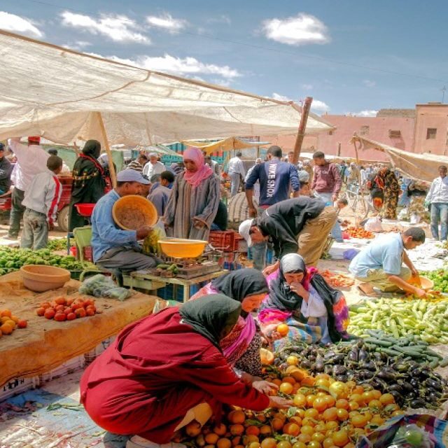 Atlas Mountains and 3 Valleys & Waterfalls & Desert Agafay - The Sum Up