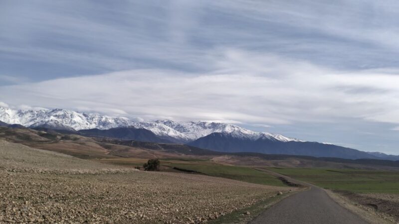 Atlas Mountains and 4 Valleys Day Trip - The Sum Up
