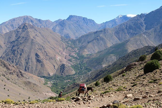 Atlas Mountains and 4 Valleys Private Tour from Marrakech - FAQ