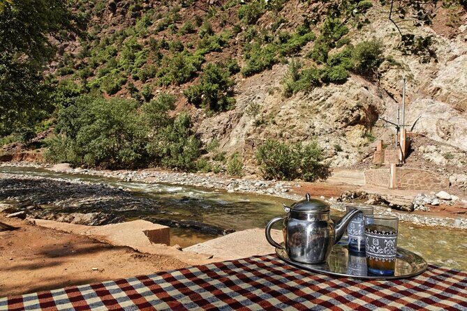 Atlas Mountains and Camel ride Day trip, from Marrakech - Key Points