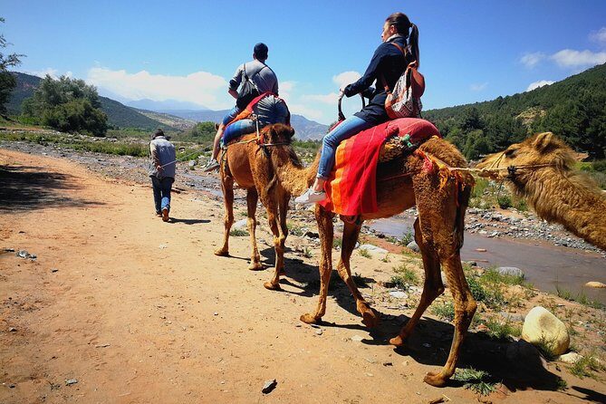 Atlas Mountains and Three Valleys & Waterfalls - Camel ride Day Trip Marrakech - Key Points