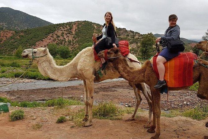 Atlas Mountains and Three Valleys & Waterfalls - Camel ride Day Trip Marrakech - An In-Depth Look at the Day Trip