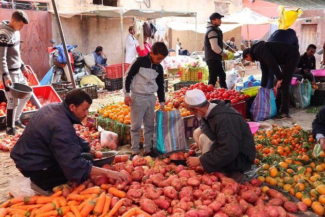 Atlas Mountains and Three Valleys & Waterfalls: Guided Day Trip From Marrakech - An In-Depth Look at the Tour Experience