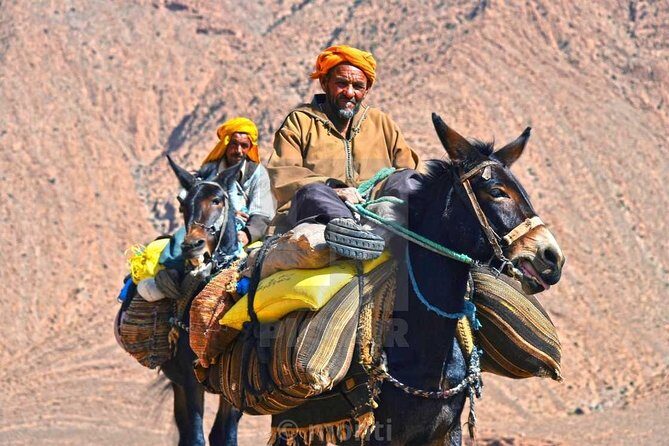 Atlas Mountains and Three Valleys & Waterfalls: Guided Day Trip From Marrakech - FAQs