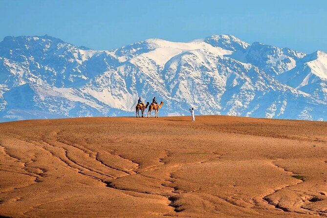 Atlas Mountains and Three Valleys & Waterfalls - Villages Marrakech Day Trip - FAQs