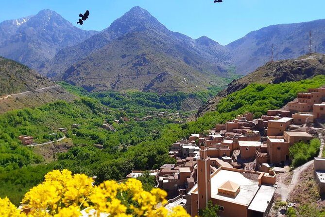 Atlas Mountains and Three Valleys & Waterfalls with Camel ride Day Trip - An In-Depth Look at the Tour