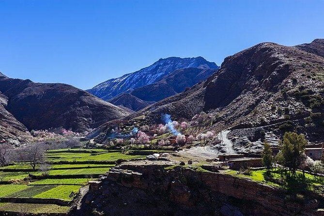 Atlas Mountains and Three Valleys & Waterfalls with Camel ride Guided Day Trip - Tea, Argon Products, and Local Culture