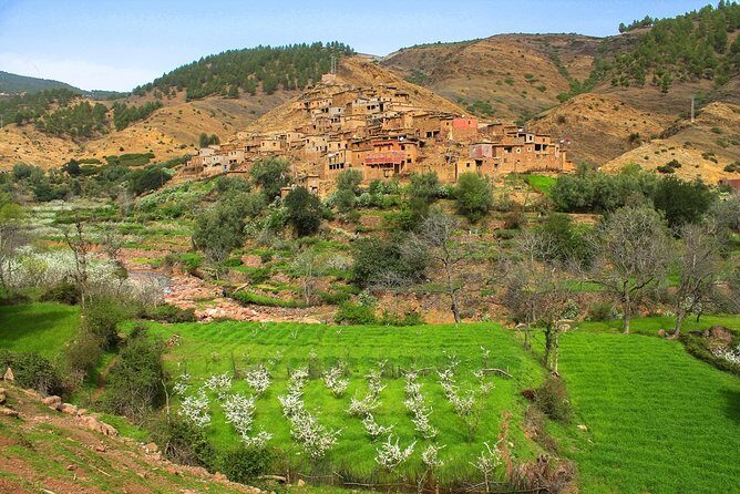 Atlas Mountains And Toubkal Massif & Waterfalls Guided Day Tour From Marrakech - FAQ