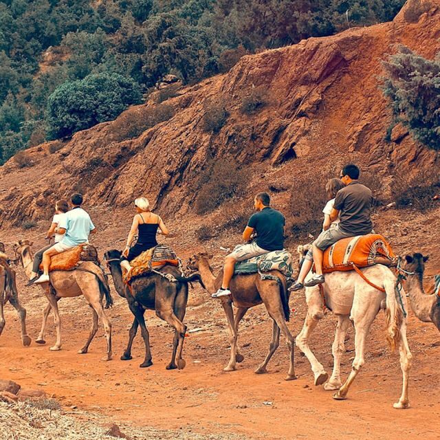 Atlas Mountains: Berber Valleys, Waterfalls & Camel Ride - Key Points