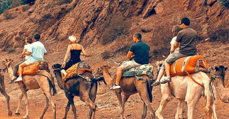 Atlas Mountains: Berber Valleys, Waterfalls & Camel Ride - Authenticity and traveler insights