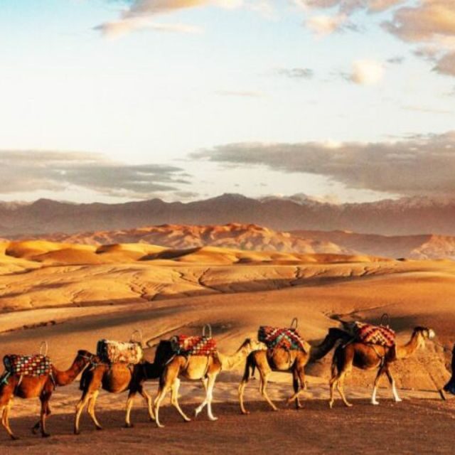 Atlas Mountains: Berber Valleys, Waterfalls & Camel Ride - The Sum Up