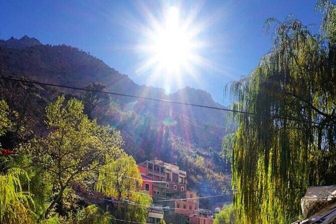 Atlas Mountains & Berber villages: optional Camel ride/Waterfall - Final Thoughts
