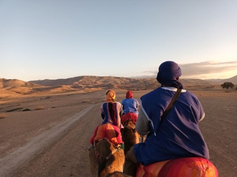 Atlas Mountains: Berber Villages, Waterfalls & Camel Ride - Authenticity and Value for Money