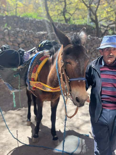 Atlas Mountains Challenge: Day Hike from Marrakech - The Sum Up: Why This Tour Is a Great Choice