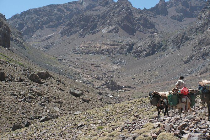Atlas Mountains Day Tour with Camel Ride - Key Points