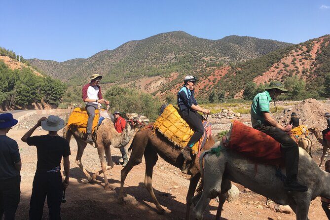 Atlas Mountains Day Tour with Camel Ride - An In-Depth Look at the Atlas Mountains Day Tour