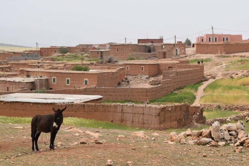 Atlas Mountains Day Trip & lunch in Local Family house - Key Points
